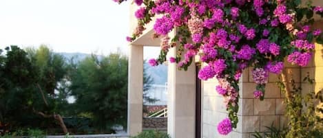 A building with a stone facade and a pergola covered in purple flowers.