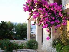 Property grounds - "Appartement "Ana"" by Interhome (Brač/Povlja)