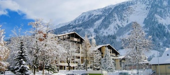 Gemütliche Ferienwohnung im Disentiserhof by Interhome