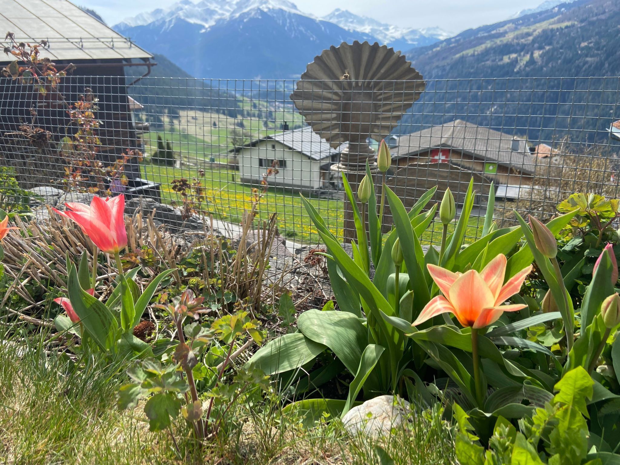 Un jardin fleuri avec vue sur la montagne.