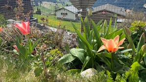 A garden with flowers and a mountain view. - Sin Sponda by Interhome (Vaz)