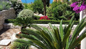 Ein Garten mit Steinmauer, verschiedenen Pflanzen und Blick aufs Meer.
