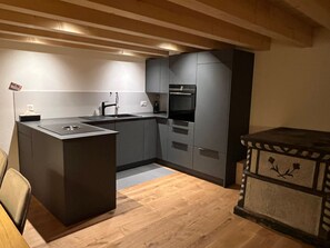 Fridge, oven, dishwasher, cookware/dishes/utensils - Steirufina by Interhome (Bellwald)