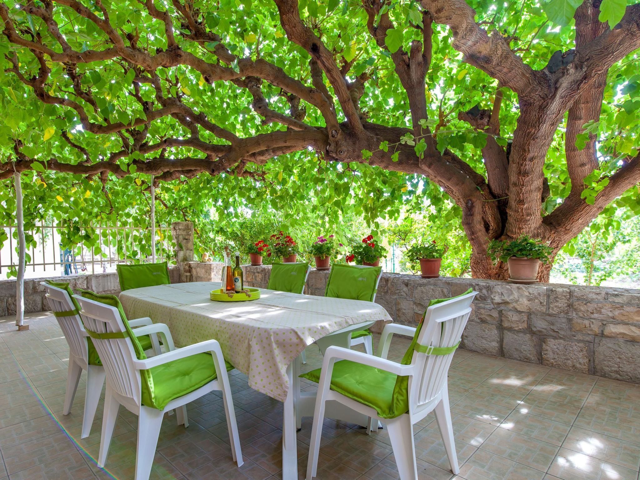 Um pátio externo com uma mesa posta para quatro pessoas, rodeado por cadeiras brancas com almofadas verdes, sob uma grande árvore de folhas verdes.