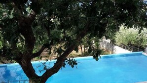 Una piscina con borde de piedra, rodeada de árboles y un sendero de piedra.