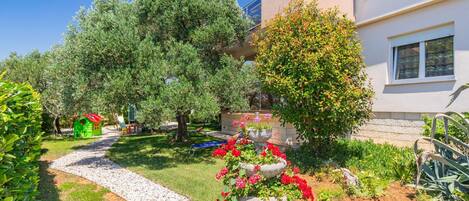 Área da propriedade