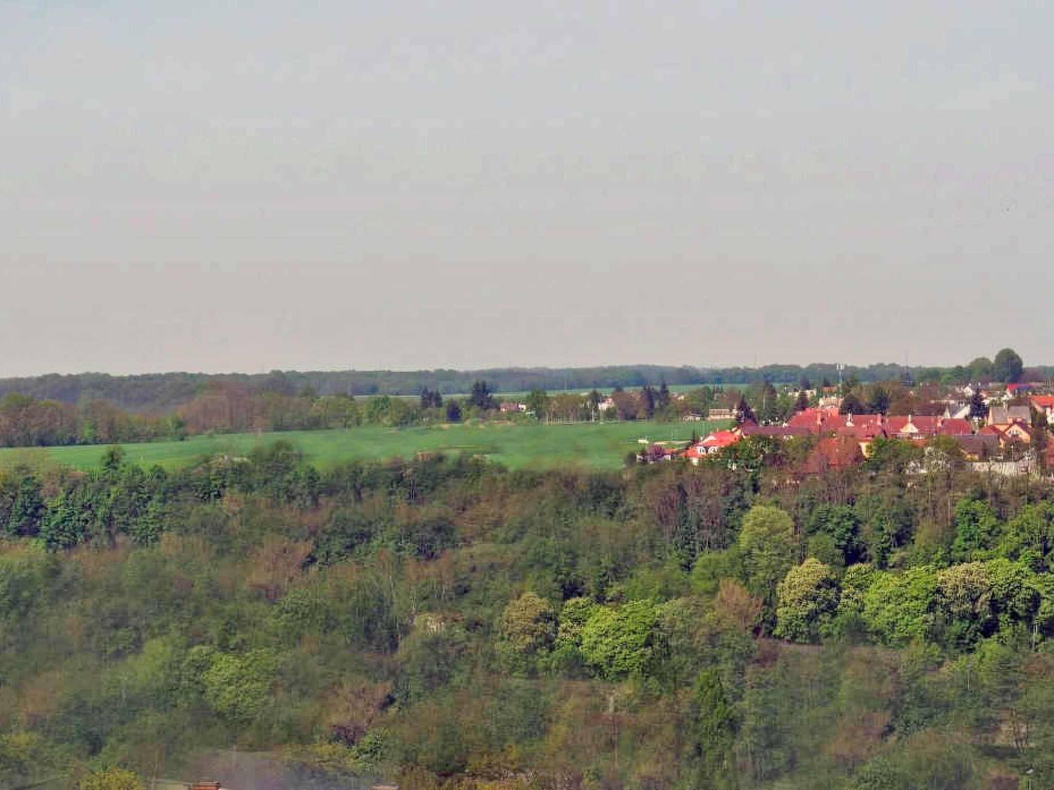 Paisaje rural con un pueblo, campos verdes y un bosque denso.