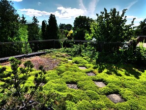 المنطقة المحيطة بالمنشأة