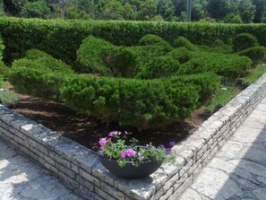 Ein angelegter Garten mit ordentlich geschnittenen Hecken und einem Blumenbeet mit violetten Blumen.