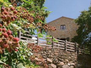 Property grounds - Bauernhaus Borgo Santarsa by Interhome (Sansepolcro)