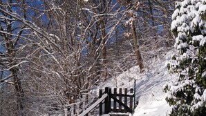 Un sendero cubierto de nieve que lleva a un portón de madera, rodeado de árboles desnudos y un cielo azul despejado.