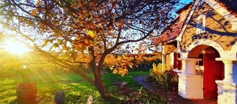 am Weinberg by Interhome