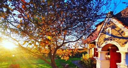 am Weinberg by Interhome