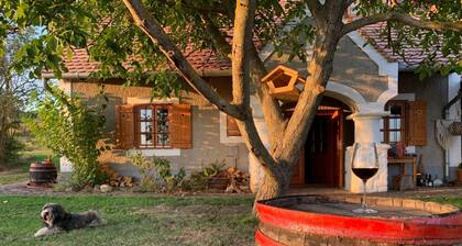 am Weinberg by Interhome