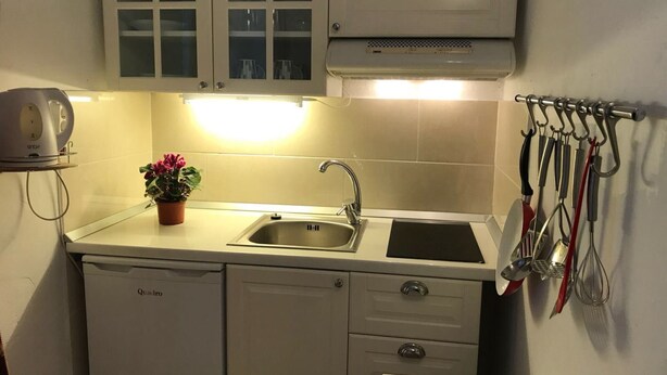 A compact kitchen with a sink, a dish drying rack, and a potted plant on the counter. - Ferienwohnung by Interhome (Orebić)