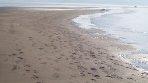 Une plage où l’on voit des empreintes de pas menant à l’eau, une mer calme et des montagnes à l’horizon.