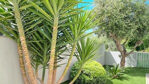 Ein gepflegter Garten mit einer Palme, einem kleinen Strauch und einem Baum mit verdrehtem Stamm.