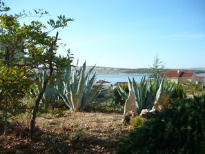 Terrain de l’hébergement 