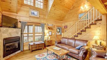 TV, fireplace, DVD player, books