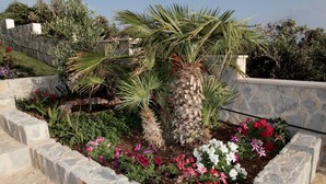 Een aangelegde tuin met een palmboom, diverse bloeiende planten en een stenen keermuur.