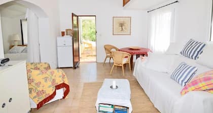 Die kleine Zikade by Interhome