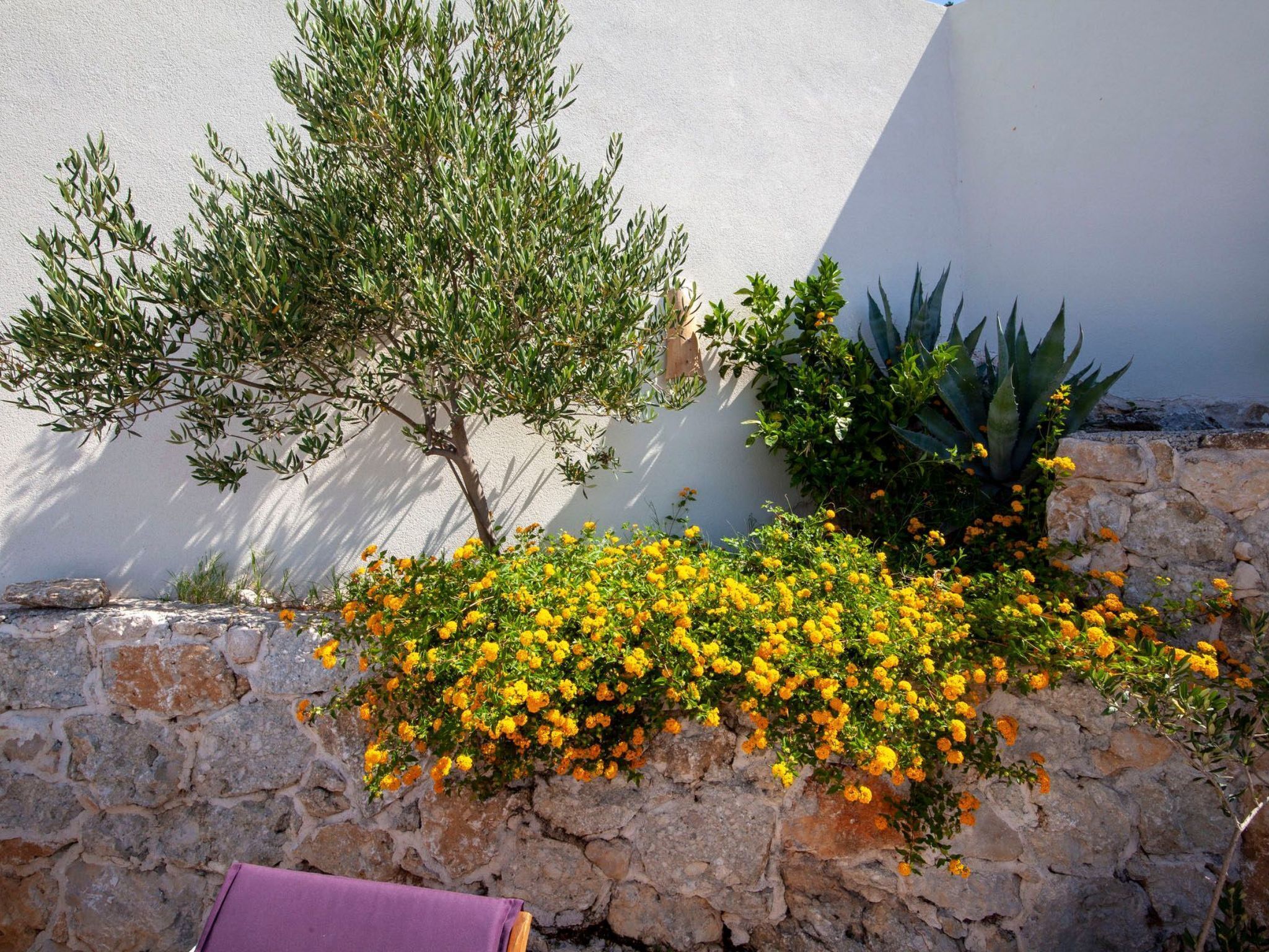 A stone wall with a small tree and yellow flowers.