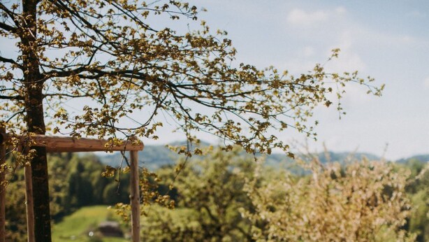 A long wooden table set for a meal with chairs, a floral centerpiece, and a scenic outdoor backdrop. - Sunnebad Sternenberg by Interhome (Sternenberg)