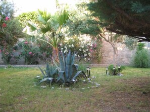 Property grounds - Große Ferienwohnung in Pag mit Privater Terrasse by Interhome (Pag/Pag)