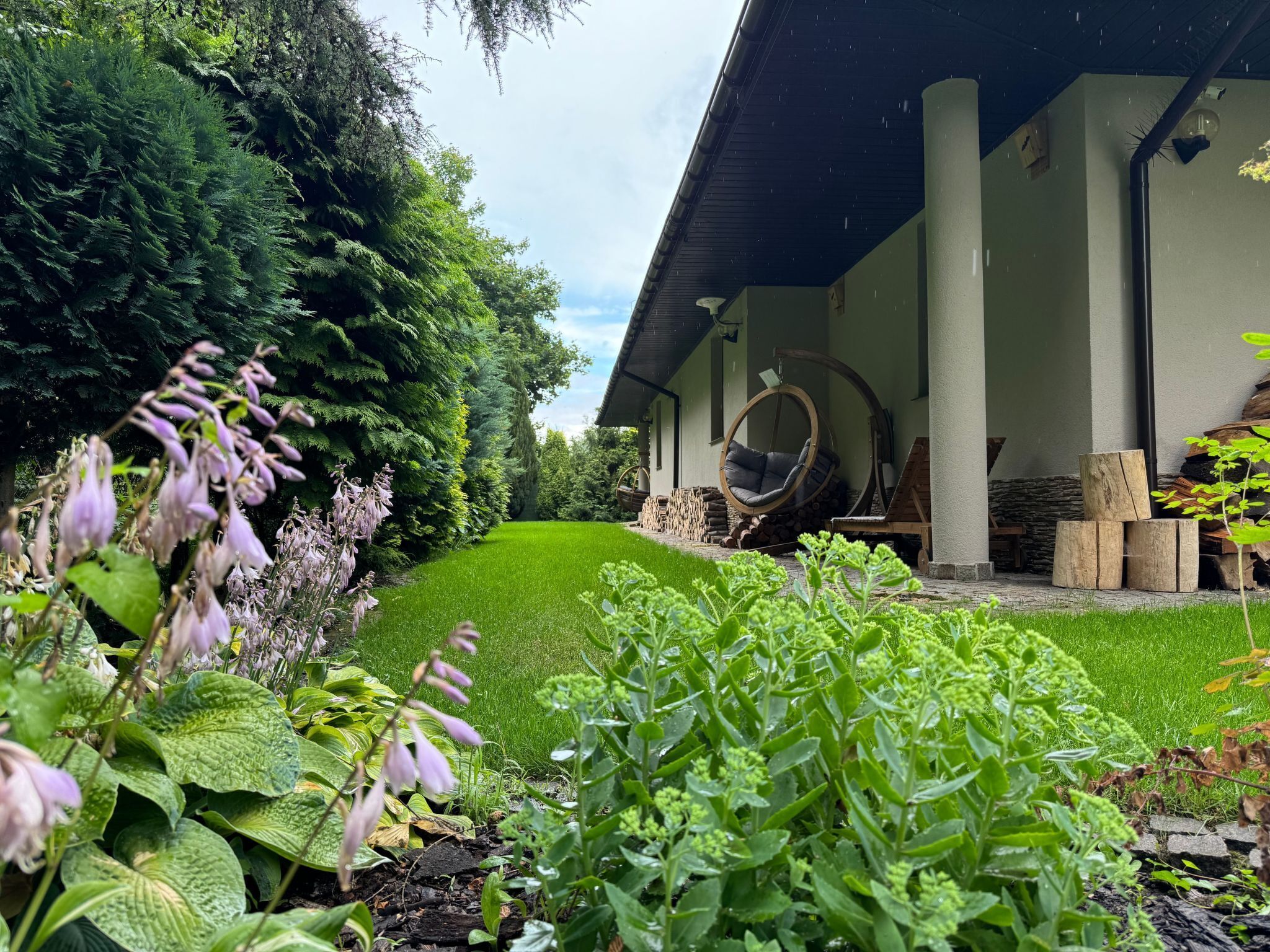 المنطقة المحيطة بالمنشأة