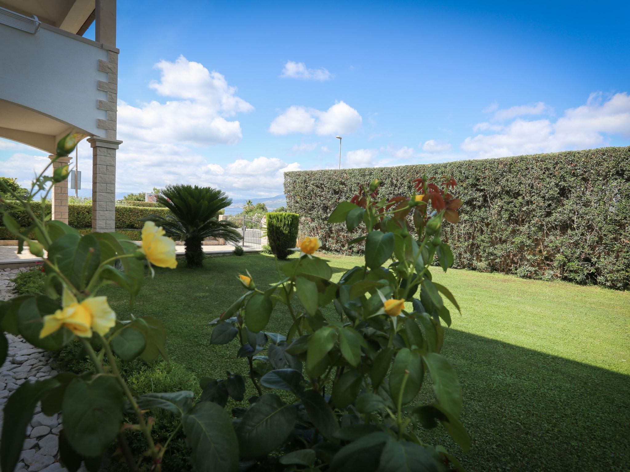 Un jardin bien entretenu, avec une grande variété de plantes et une haie soigneusement taillée.