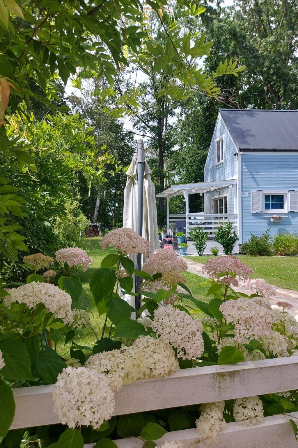 Área da propriedade