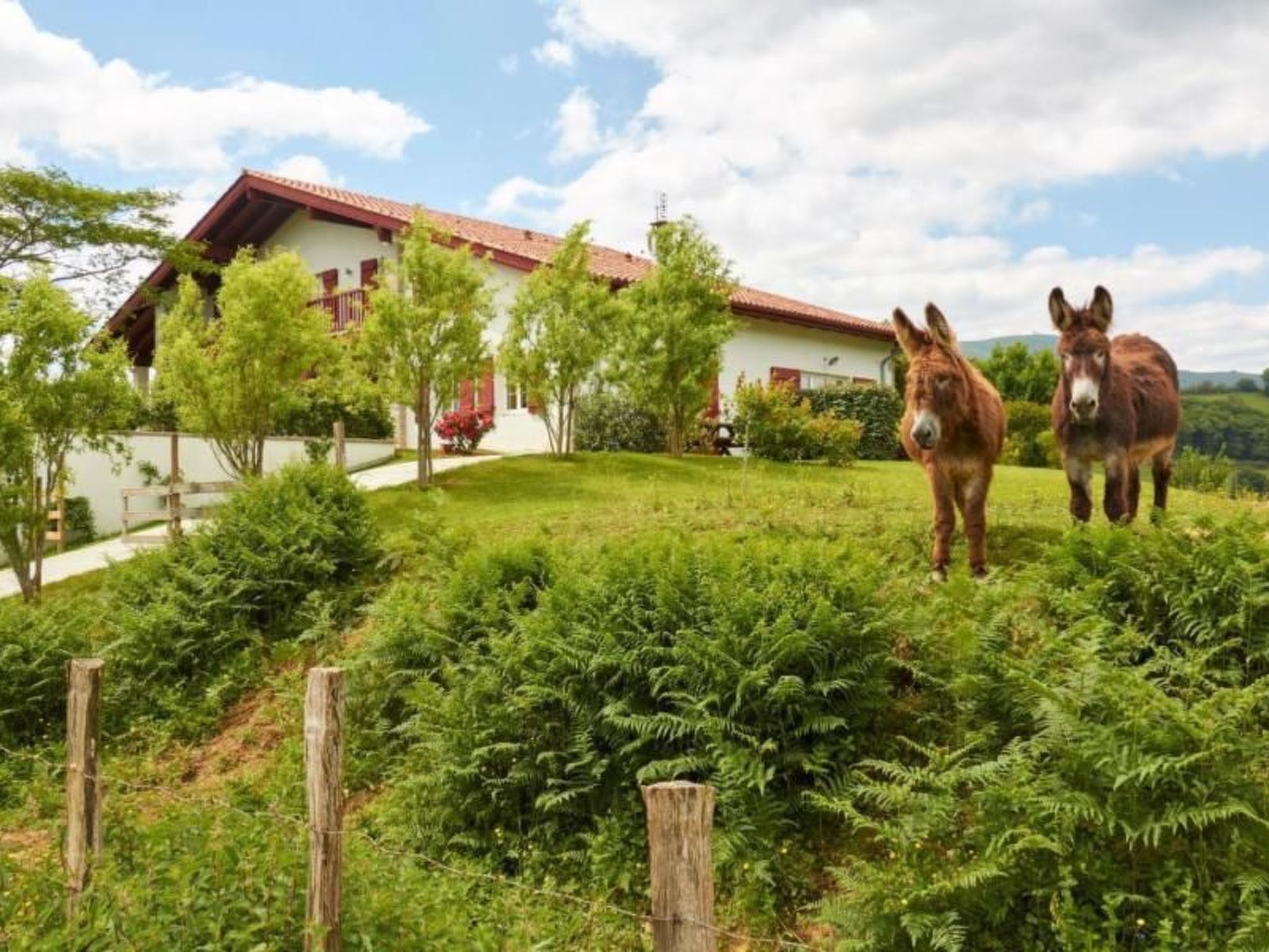 Áreas de la propiedad