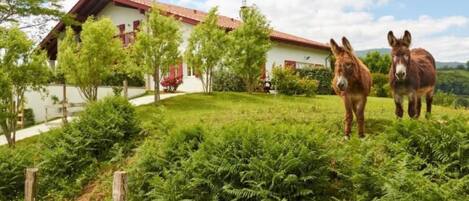 Áreas de la propiedad