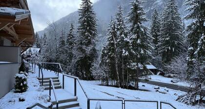 Alpine Creek - Luxus Ski-in Avoriaz Morzine by Interhome