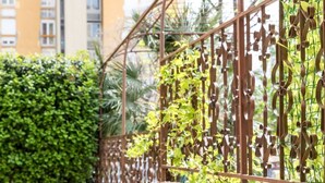 Een gele rieten stoel met kussen in een tuin met groen en een metalen hek.