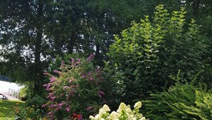 Ein gepflegter Garten mit verschiedenen blühenden Pflanzen und einer Rasenfläche.