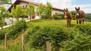 Nicht klassifiziertes Bild, 5 von 35, Schaltfläche