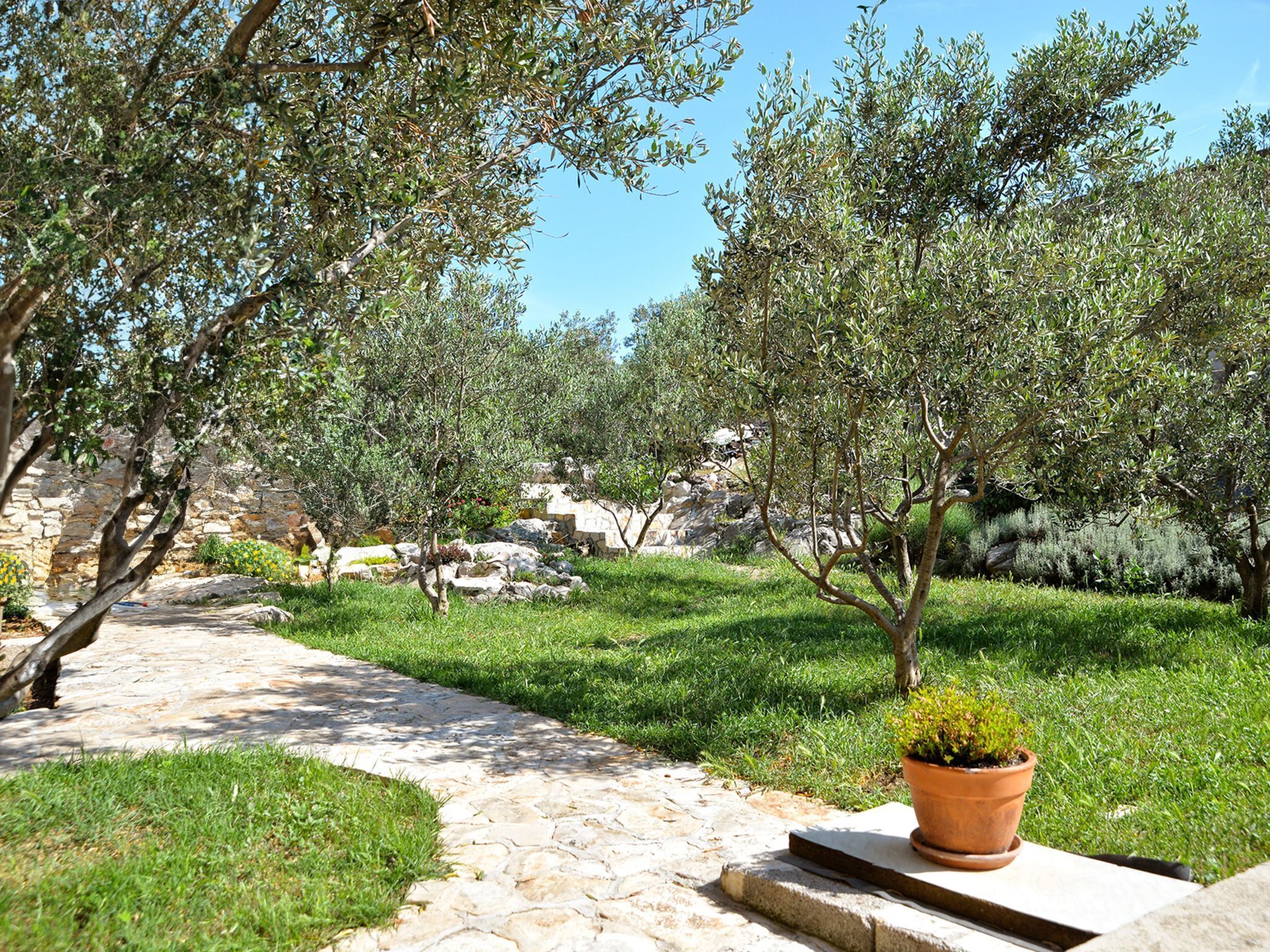 Áreas de la propiedad