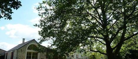 Área da propriedade