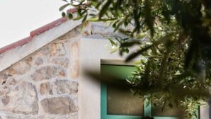 Un muro de piedra, una puerta verde con paneles de vidrio y una silla de metal con cojín.