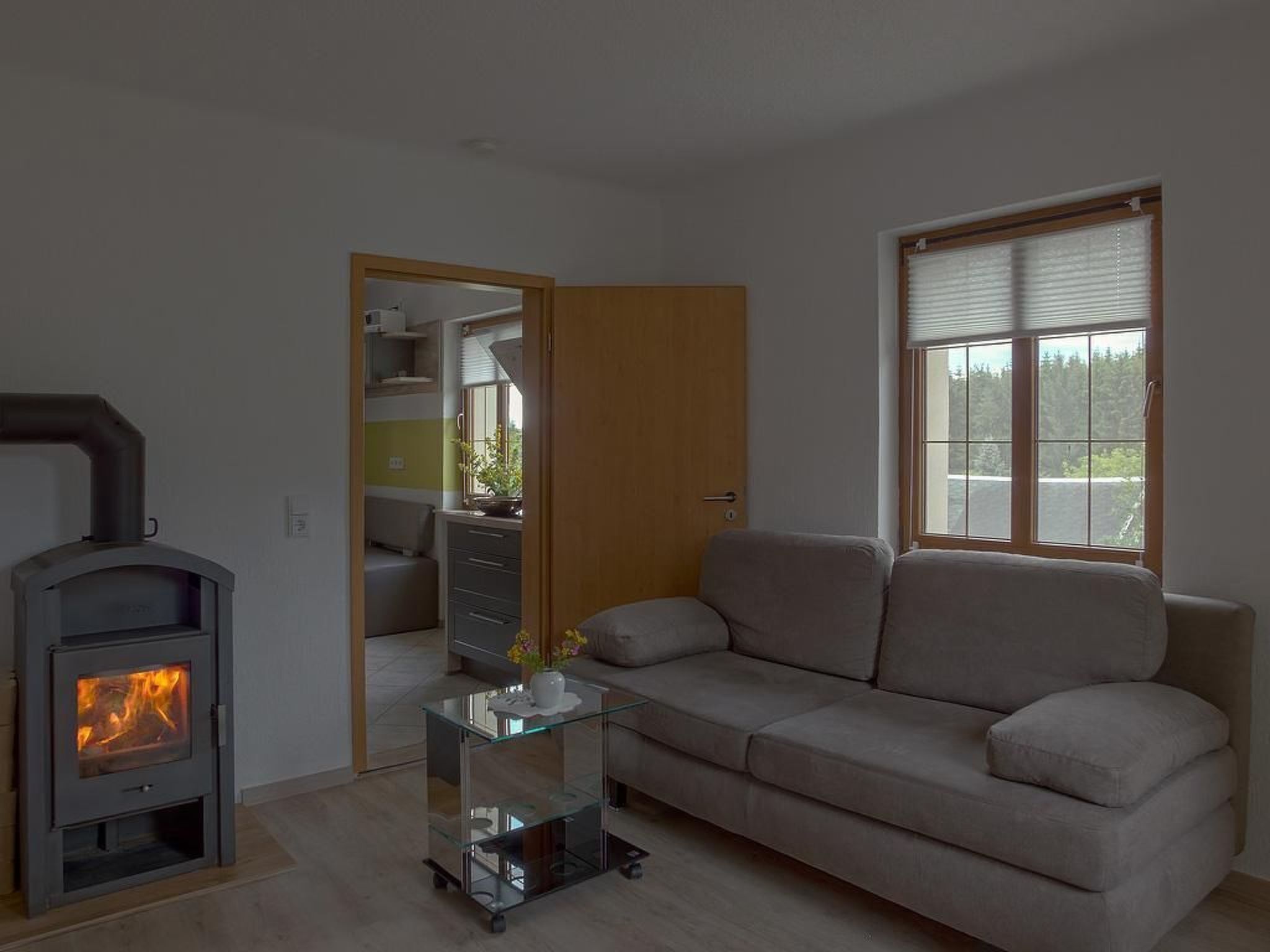 Fernseher, Kamin