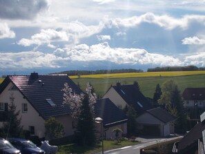 Ein Wohngebiet mit Häusern, einer Straße und einem Feld voller gelber Blumen.