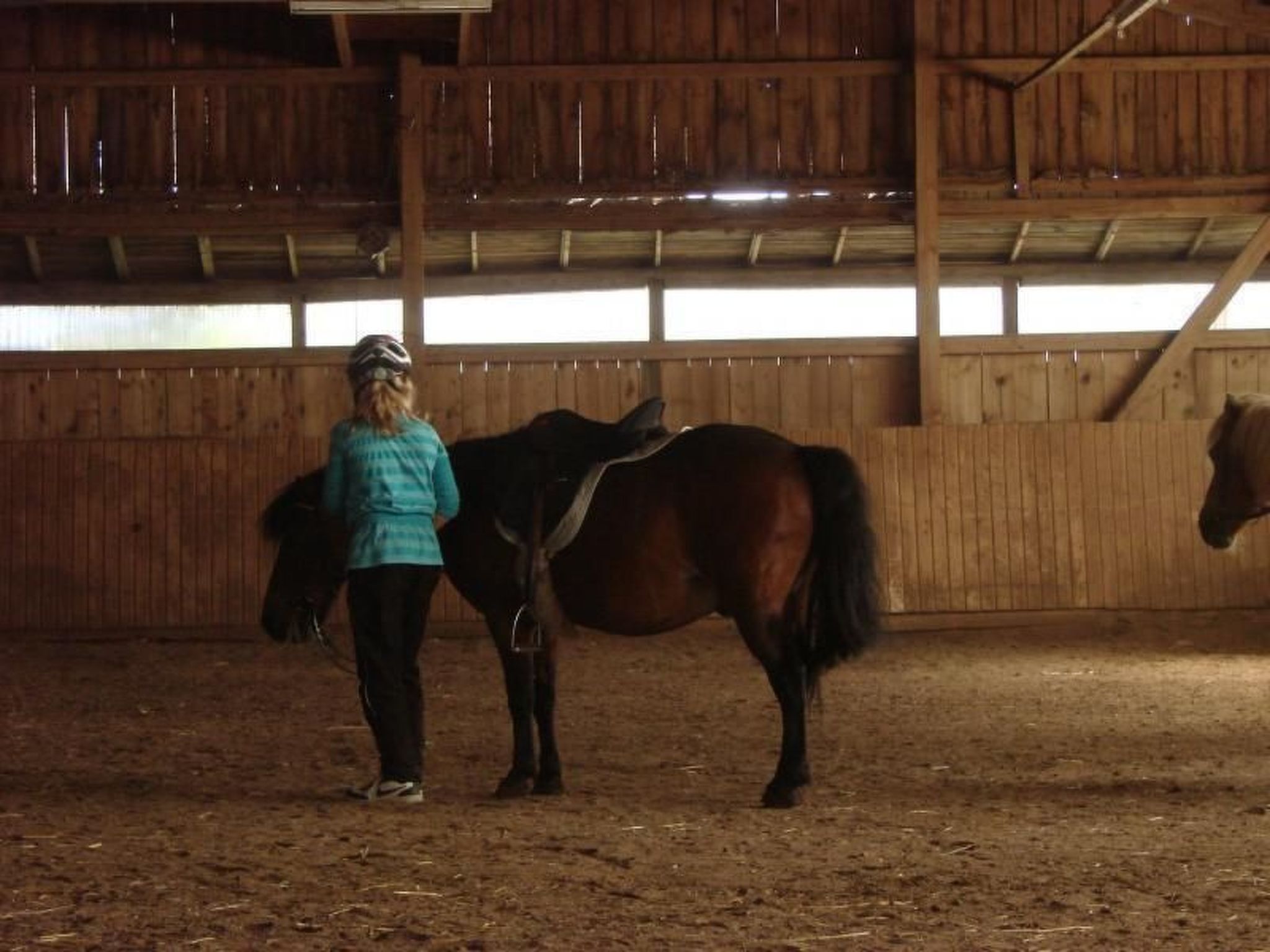 A stable with wooden walls and a dirt floor.
