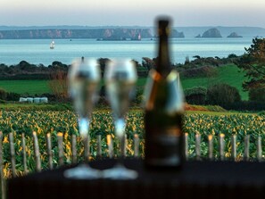 Bar (on property) - Villa mit Meerblick und privatem Spa - les gîtes de Fabie by Interhome (Plougonvelin)