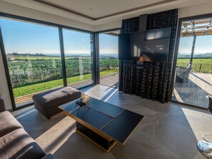 Fernseher, Kamin