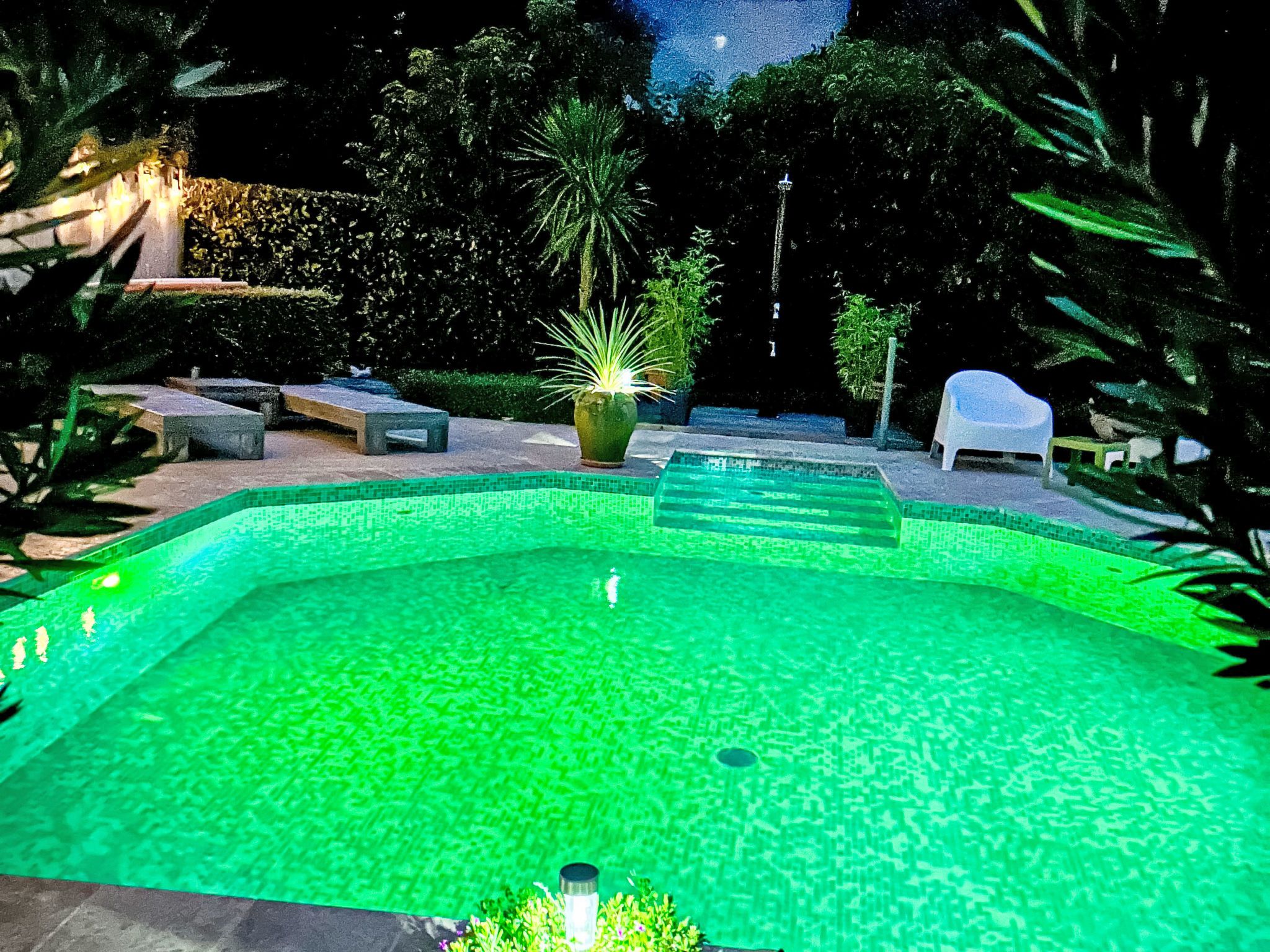 Una piscina con borde de azulejos, rodeada de mobiliario de exterior y plantas.