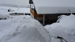 Uklassifisert bilde, 2 av 15, knapp