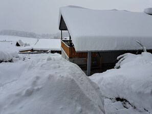 Property grounds - Alpenblick by Interhome (Eppenschlag)