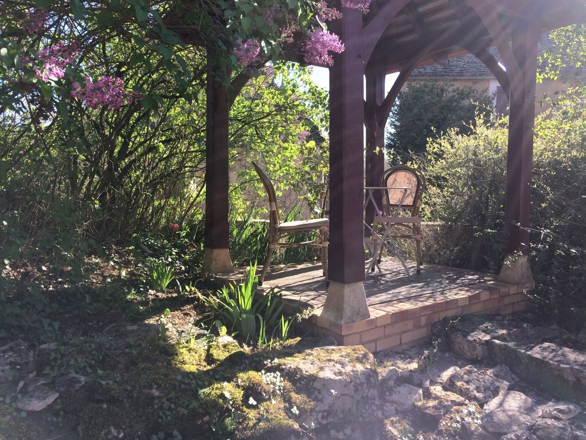 テラス / パティオ