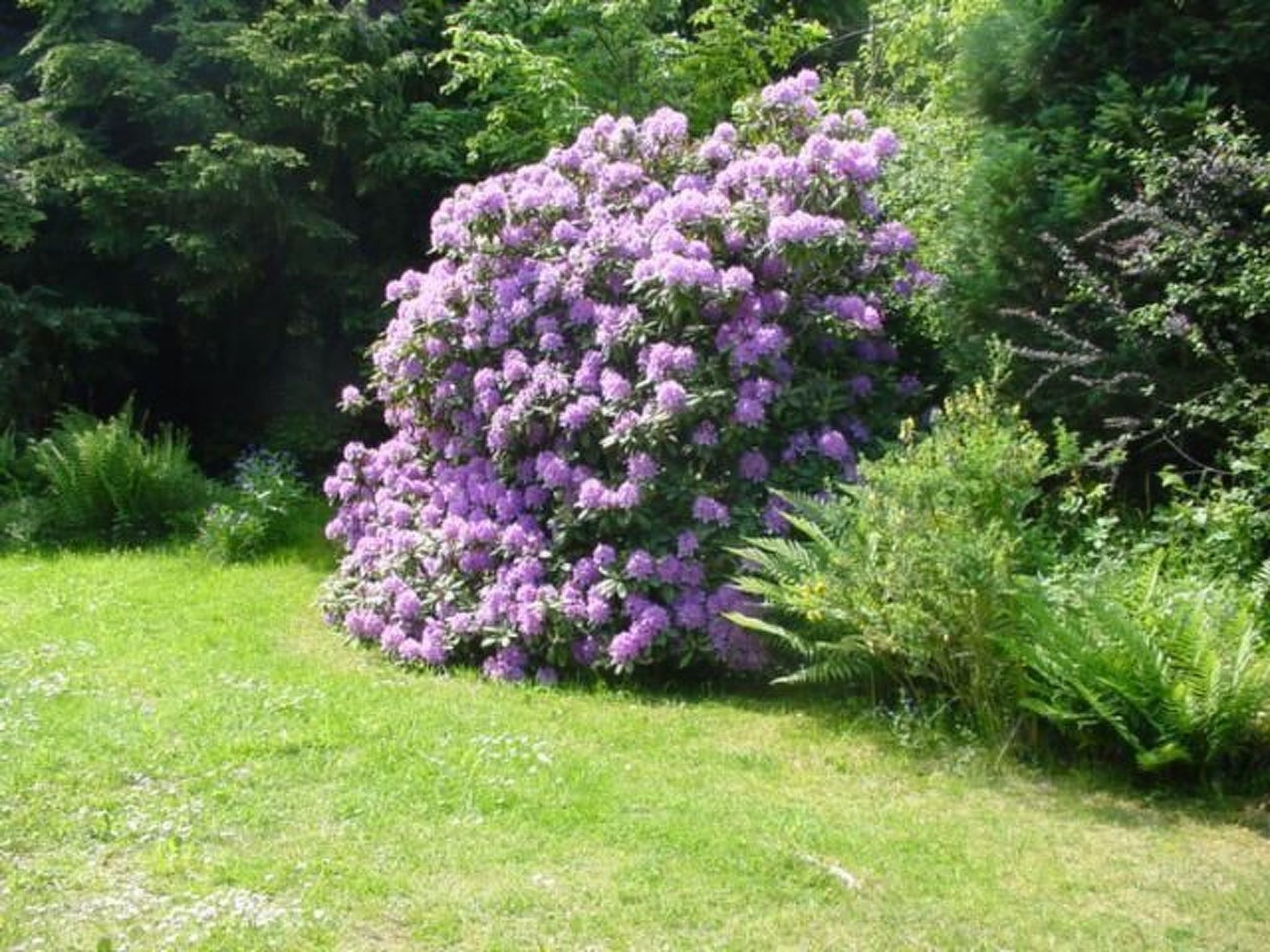 Overnatningsstedets område